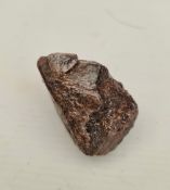 Collectable Minerals Fluorescent Zircon Weight 175g Collectable Minerals Fluorescent Zircon Weight