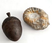 Antique Ammonite Fossil & Cast Iron Acorn     Antique Ammonite Fossil & Cast Iron Acorn.The acorn