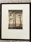 Two 19th century engravings by Malcolm Patterson