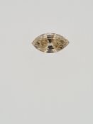 Cognac marquise cut diamond