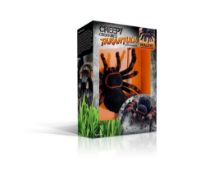 (R2B) 7 Items. 3x Creepy Creatures RC Tarantula. 4x RC Colour Changing UFO.