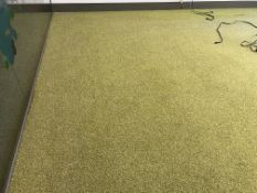 Green carpet tiles 4.8m x 4.4m