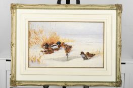Limited Edition by the late Archibald Thorburn. No.1 of only 195 published.