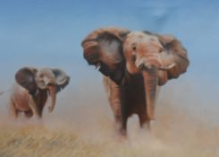 Oil on Canvas. African Elephants by Ray Greenfield