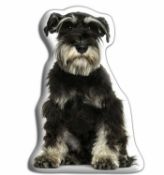 Adorable Cushions Company Shitzu dog