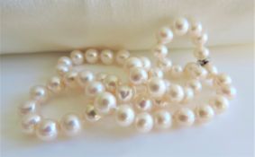 18 inch Cultured Pearl Necklace Silver Clasp New with Gift Box