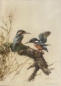 Edwin Penny Large pencil signed print 