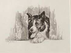 Keith Brockie (Scottish) bn 1955 Original ink drawing 