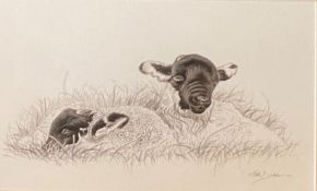 Keith Brockie (Scottish) bn 1955 Original ink drawing 