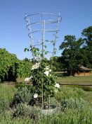 (16) 1x Mode By Moore Large Classic Garden Obelisk RRP £165.
