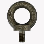 500 X 20MM EYEBOLT TO DIN580 SWL 1.2 TON (DINEB20)