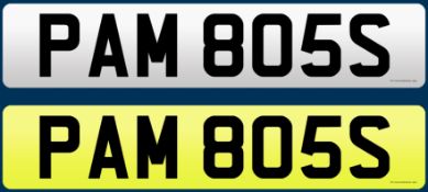 PAM 805S - Cherished Plate On Retention