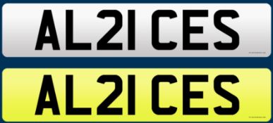 AL21 CES - Cherished Plate On Retention