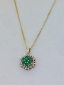 9ct Yellow Gold (375) Emerald & Diamond Cluster Pendant on 18