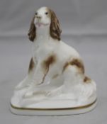 Royal Worcester Springer Spaniel by Kenneth Potts