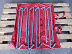 10 x Heavy Duty Ground Anchor Pins