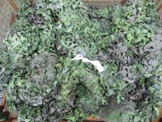 Ex Reserve Large 9m x 9m Original Camouflaged Woodland Netting