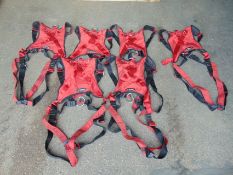 6 x Climbing Harnesses