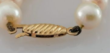 A single row of sixty-one cultured pearls, measuring 6mm to 6.3mm, medium cream colour on a