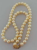 A single row necklace of sixty Akoya cultured pearls, 5.5mm to 6mm, on a 9ct gold clasp, light