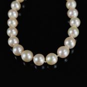 Akoya-Perlenkette mit Diamant-Schließe, 585/14K Weißgold, Gesamtgewicht 31,6g, gleichmäßige, einzel