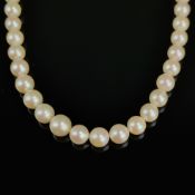 Perlenkette, 750/18K Gelbgold (punziert), Gesamtgewicht 31,91g, Akoya-Zuchtperlen von ca. 8-6,5mm D