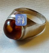 Ring Fischland