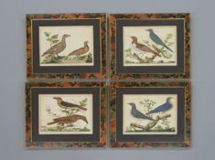 MARTINET, Francois Nicolas: Exotische Vogeldarstellungen