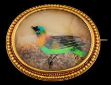 A late Victorian bird feather and gold brooch,: circa 1885,
