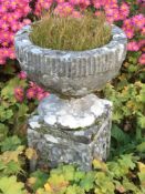 A stone pedestal garden urn:, the circular bowl with a fluted border, on circular socle,