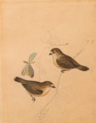 Attributed to Heinrich Gotlieb L.