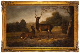 English School 19th Century- Stag and doe in a clearing,:- oil on canvas, 69 x 110cm.