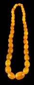 An amber bead necklace,: the graduated 24mm to 11mm amber beads on a knotted thread, 64cm long.