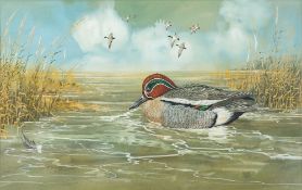 * Michael James Yule [20th Century]- Teal, Mallard, Pintail,:- signed and dated 1974 watercolour,