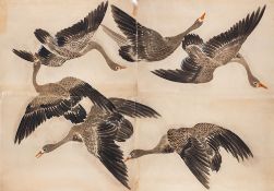 A large Japanese woodblock print in four parts: depicting flying ducks,
