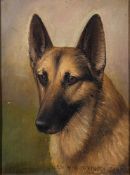 Henry Crowther [19/20th Century]- Pedigree German Shepherd,:- signed,