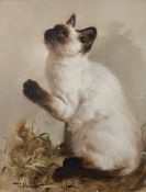 * Somsak Busdee [20/21st Century]- Kittens,:- a group of three, each signed, oils on canvas,
