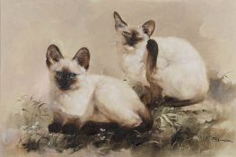 * Somsak Busdee [20/21st Century]- Two kittens; Cat and Kittens,:- two, signed, oils on canvas,