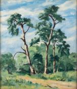 English School 20th Century- Study of trees,:- oil on canvas, laid on board 40 x 34.
