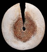 *Alan Wallwork [1931-2019] a stoneware vessel: of discus shaped form with central piecing and