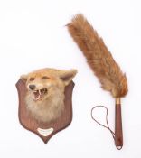 An early 20th century taxidermy fox mask on oak shield plinth: with plaque ' Minehead Harriers.