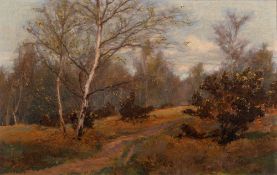 Arthur Rackham [1867-1939]- Path through a wood, New Forest,