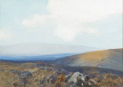 Frederick John Widgery [1860-1941]- Dartmoor,:- signed bottom left, gouache, 24.5 x 34.5cm.