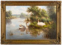 * Ronald Meilof [1953-2016]- Swans in a river landscape,:- signed bottom right oil on canvas,