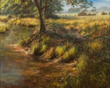 * David Dipnall [b.1941]- Sparkling Waters,:- signed bottom left oil on canvas, 40 x 50cm.