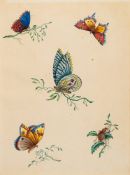 English School mid 19th Century- Exotic butterflies and a beetle,:- watercolour, 27 x 20cm.
