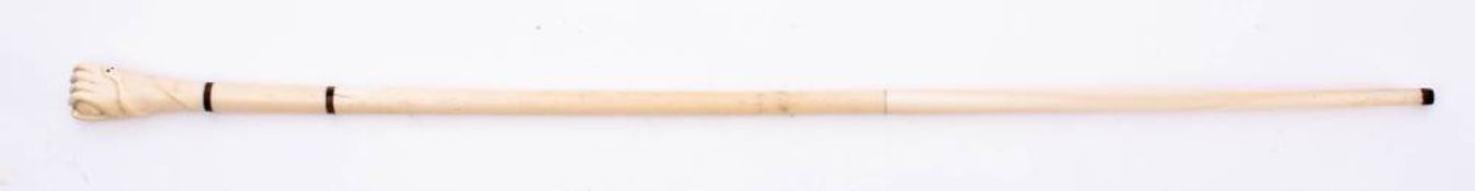 A late 19th century marine ivory walking cane: the three section shaft with rosewood ferrules and