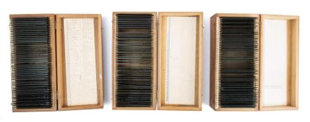 The photographic archive of Sir Harold Dudley Clayton,