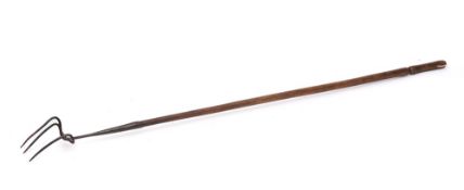 A long-handled flesh fork:, the triple prongs with a turned ash handle, 115cm long.