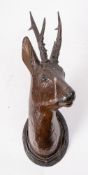 A Continental carved wood and brown decorated roe deer's head: with an oval reeded plaque.